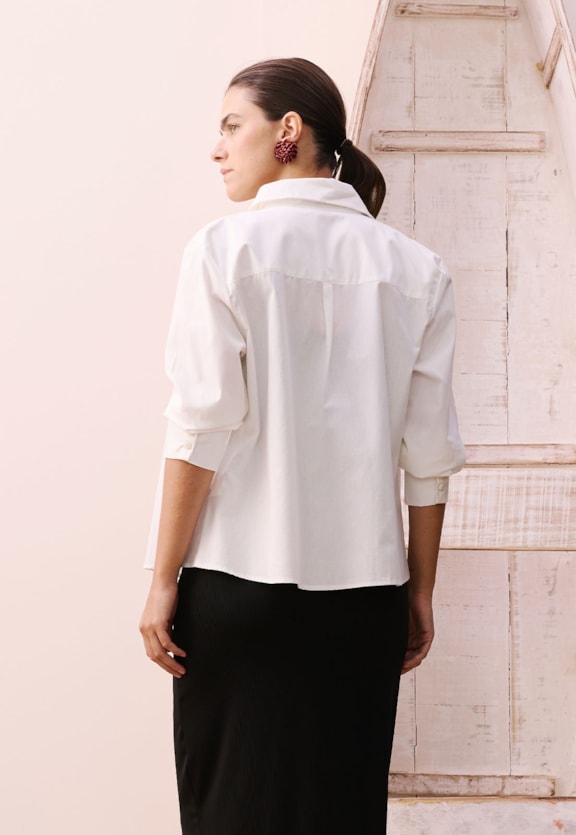 Camisa Prega Costas Vista Traseira