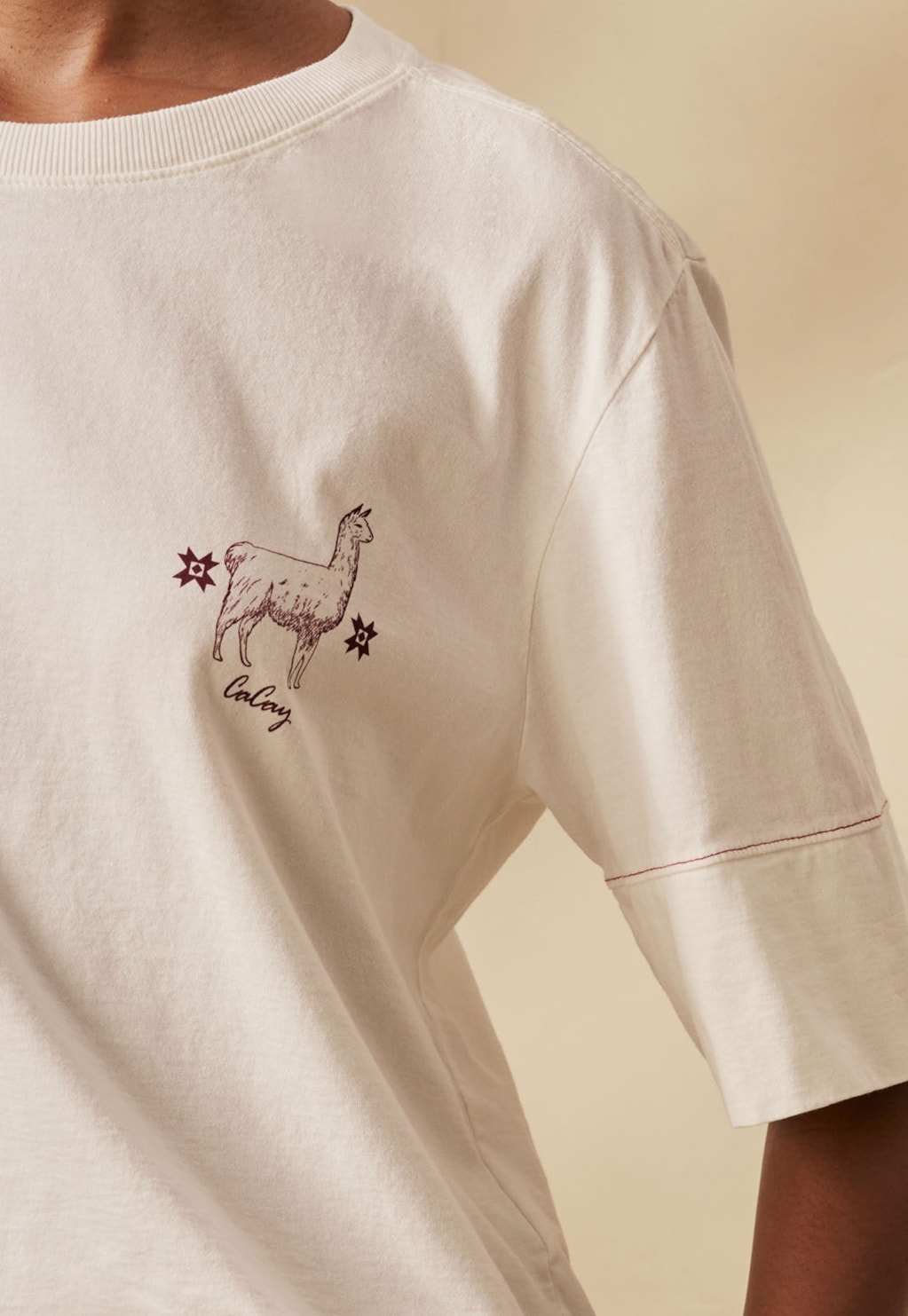 T Shirt Cropped Silk Vicuña